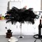 Natural Black Ostrich Feathers 12–14" (50 Pack) for Wedding & Party Décor